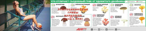 мяу мяу мука Каменск-Шахтинский