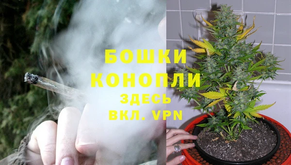 мяу мяу мука Каменск-Шахтинский