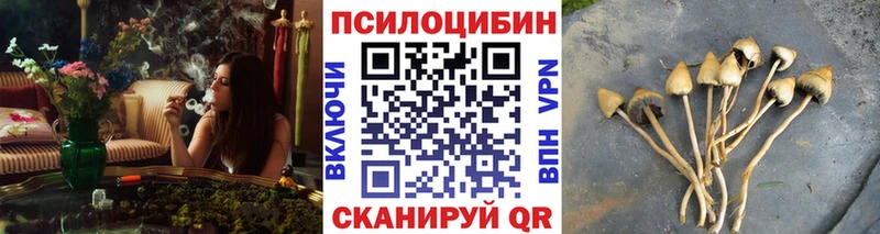 Галлюциногенные грибы прущие грибы  Купить закладки  Коломна 